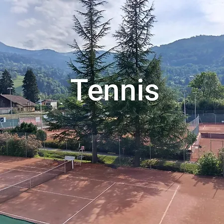公寓 View Aravis & Terrace Close To Thermal Baths 圣热尔韦莱班